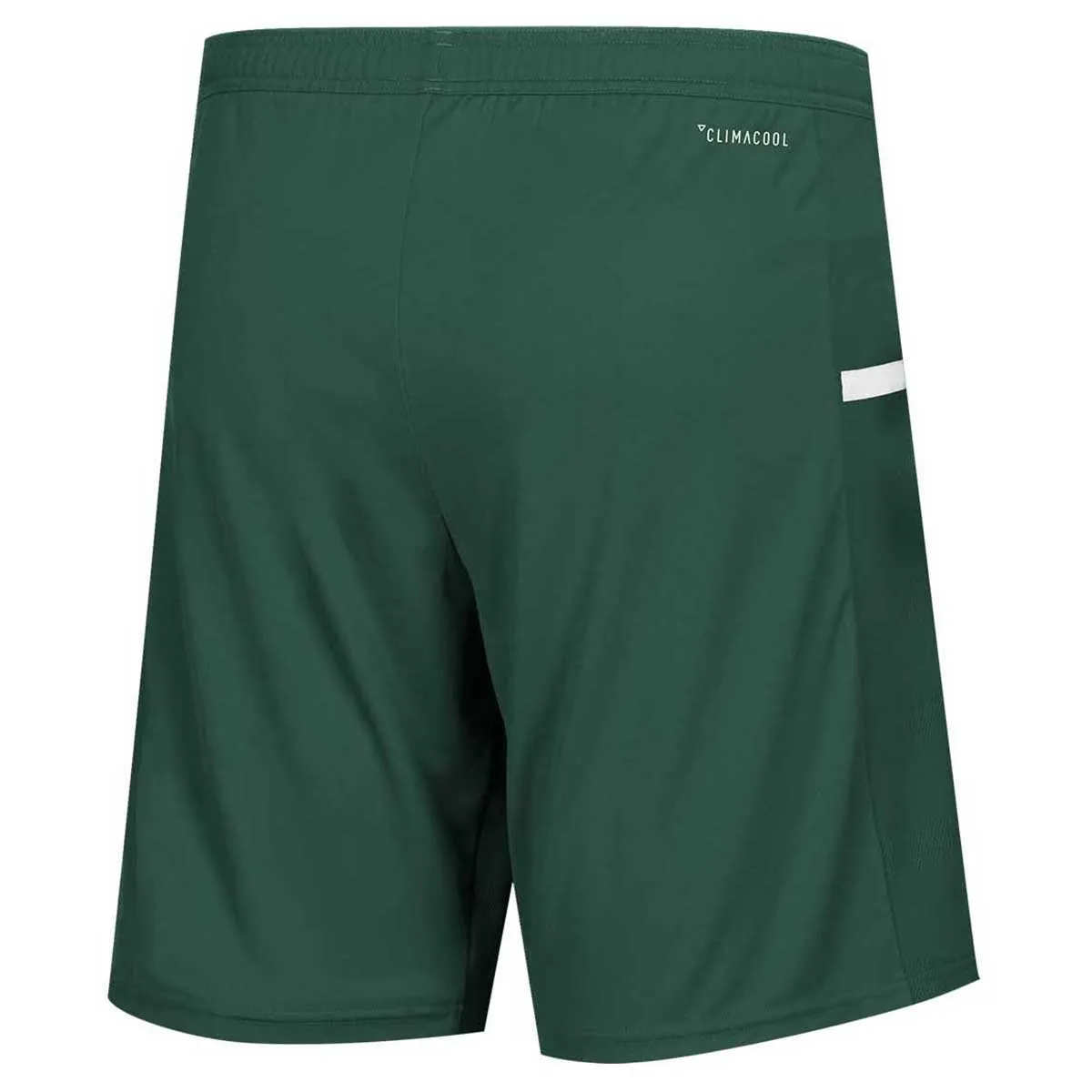 adidas Men's Team Dark Green/White Team 19 Knit Shorts