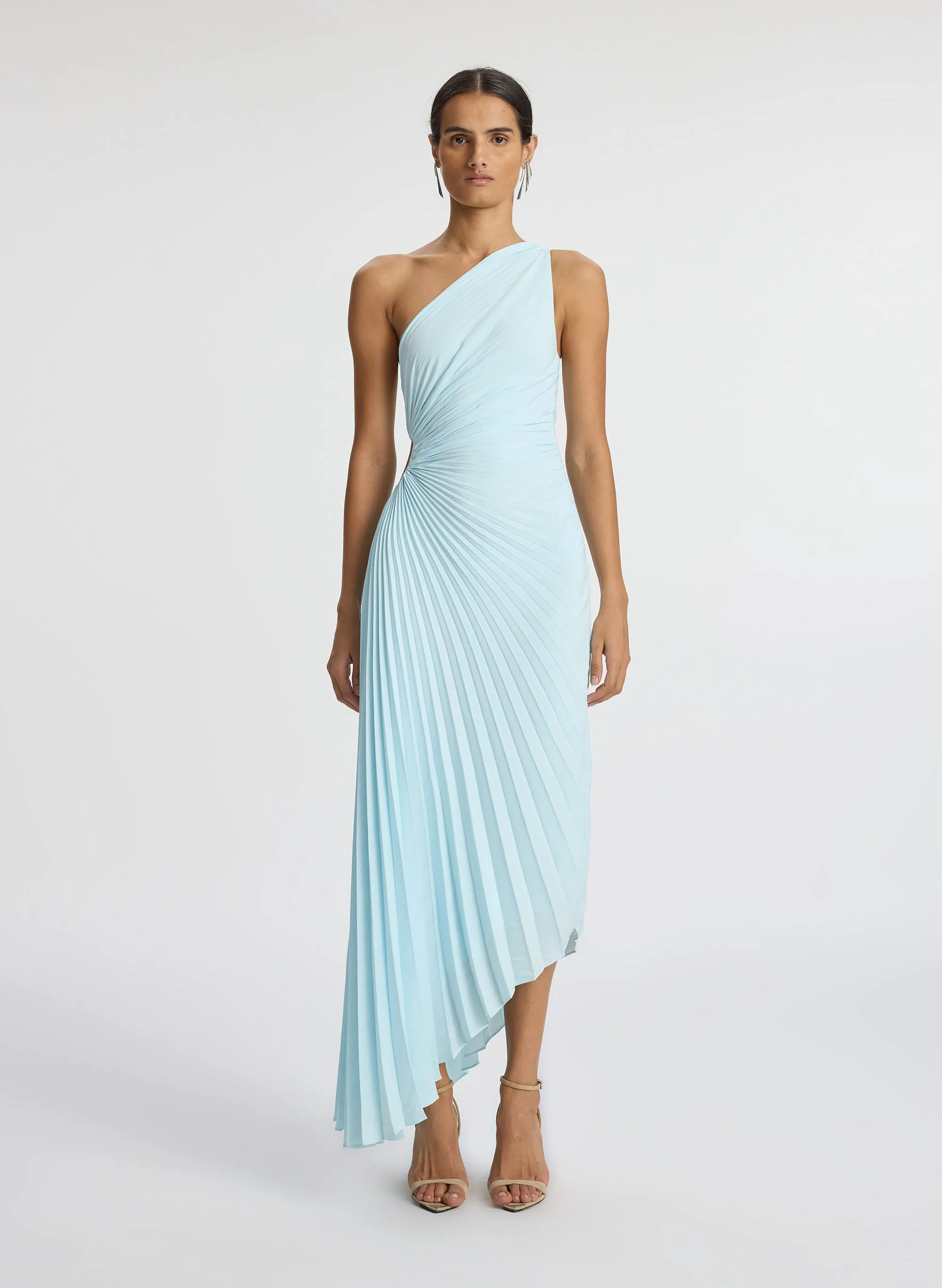 Delfina Matte Pleated Dress