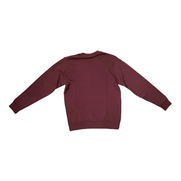 Dickies sweatshirt Byronville Men's Relaxed Fit DK0A4TMMEL01 maroon