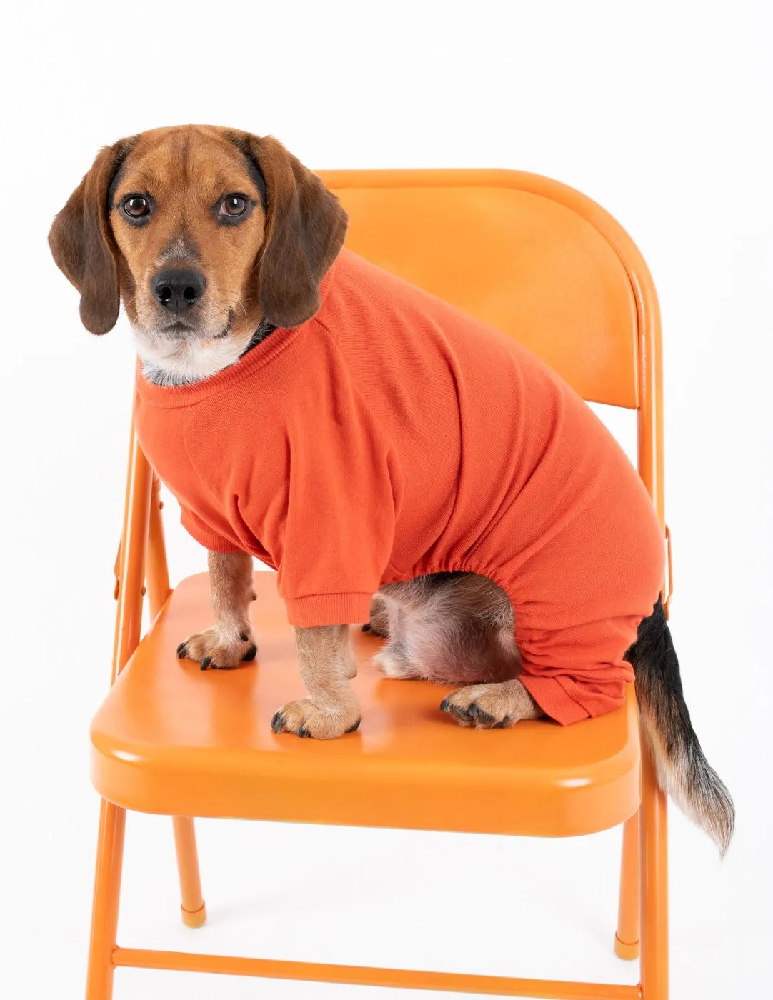 Dogs Solid Color Orange Pajamas