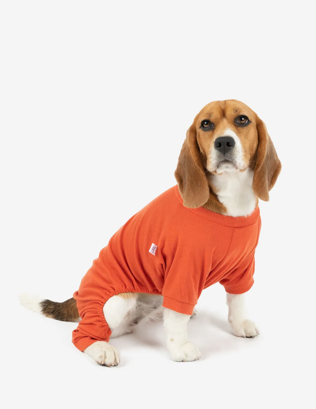 Dogs Solid Color Orange Pajamas