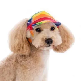 Rainbow Dog Hat