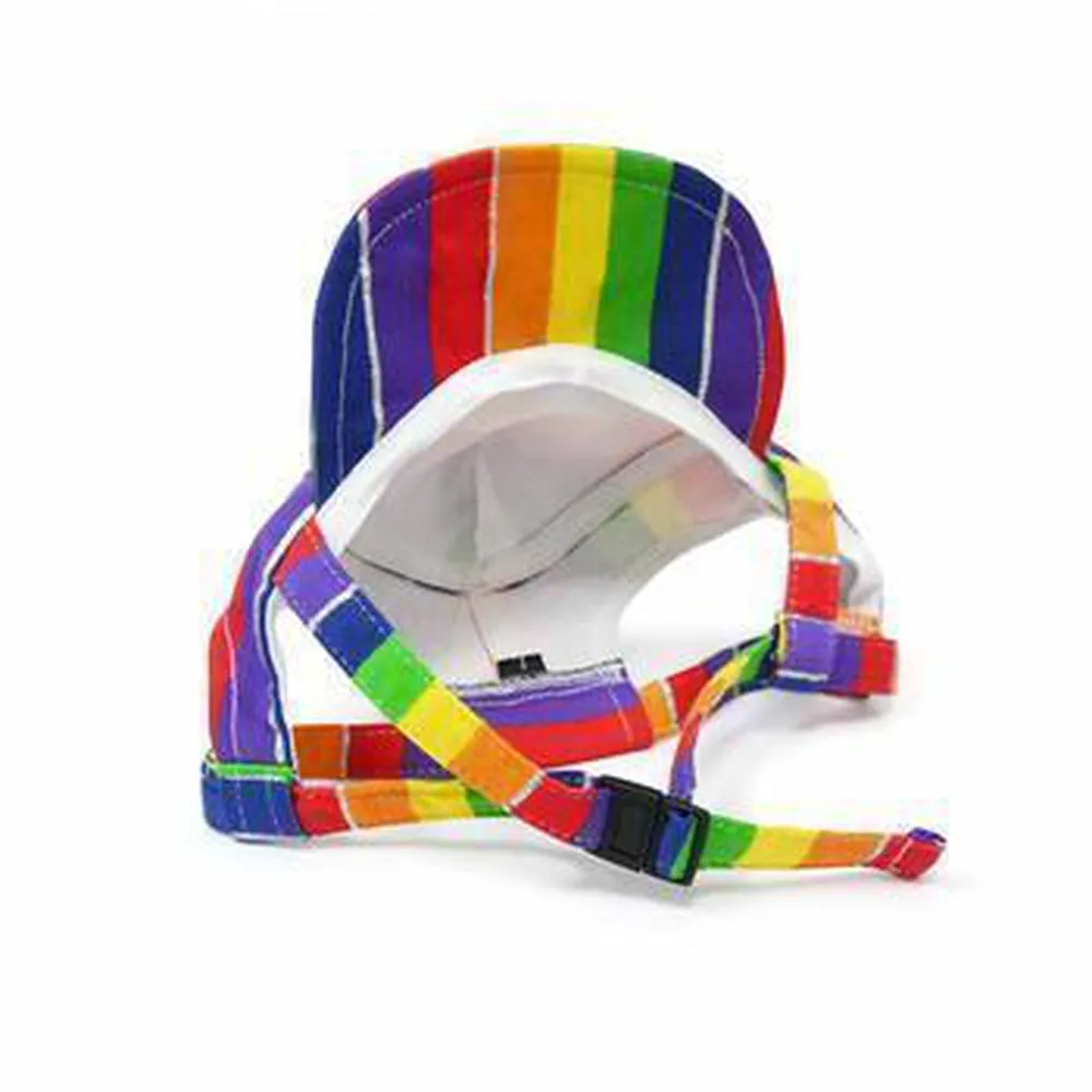 Rainbow Dog Hat